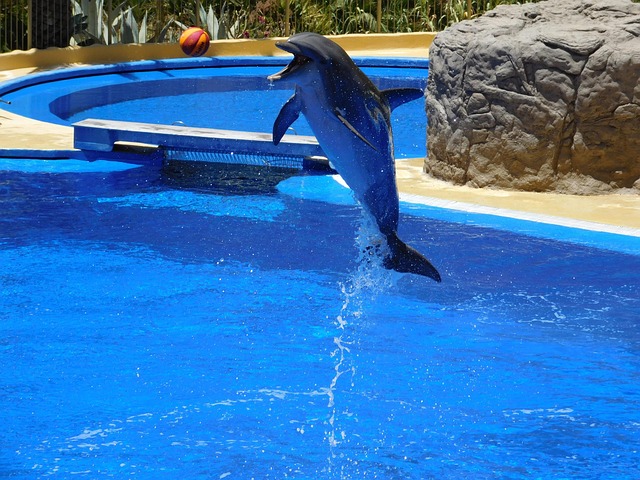 Hotel aquapark Spindlerův Mlýn priser og hvad du kan forvente